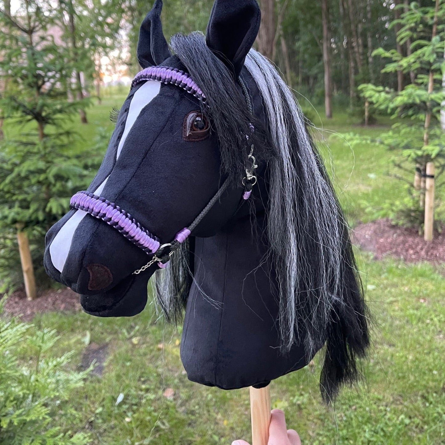 Black horse on a stick with purple reins and name accessory