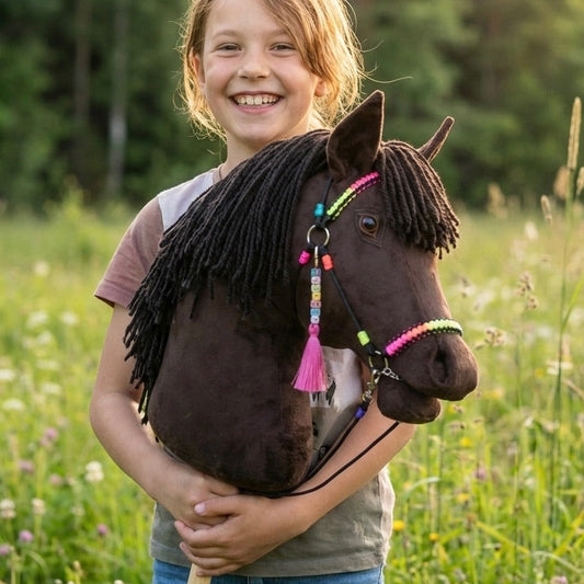 Dark brown handmade hobby horse with yarn mane, rainbow bridle, and personalized name tag – stick horse toy