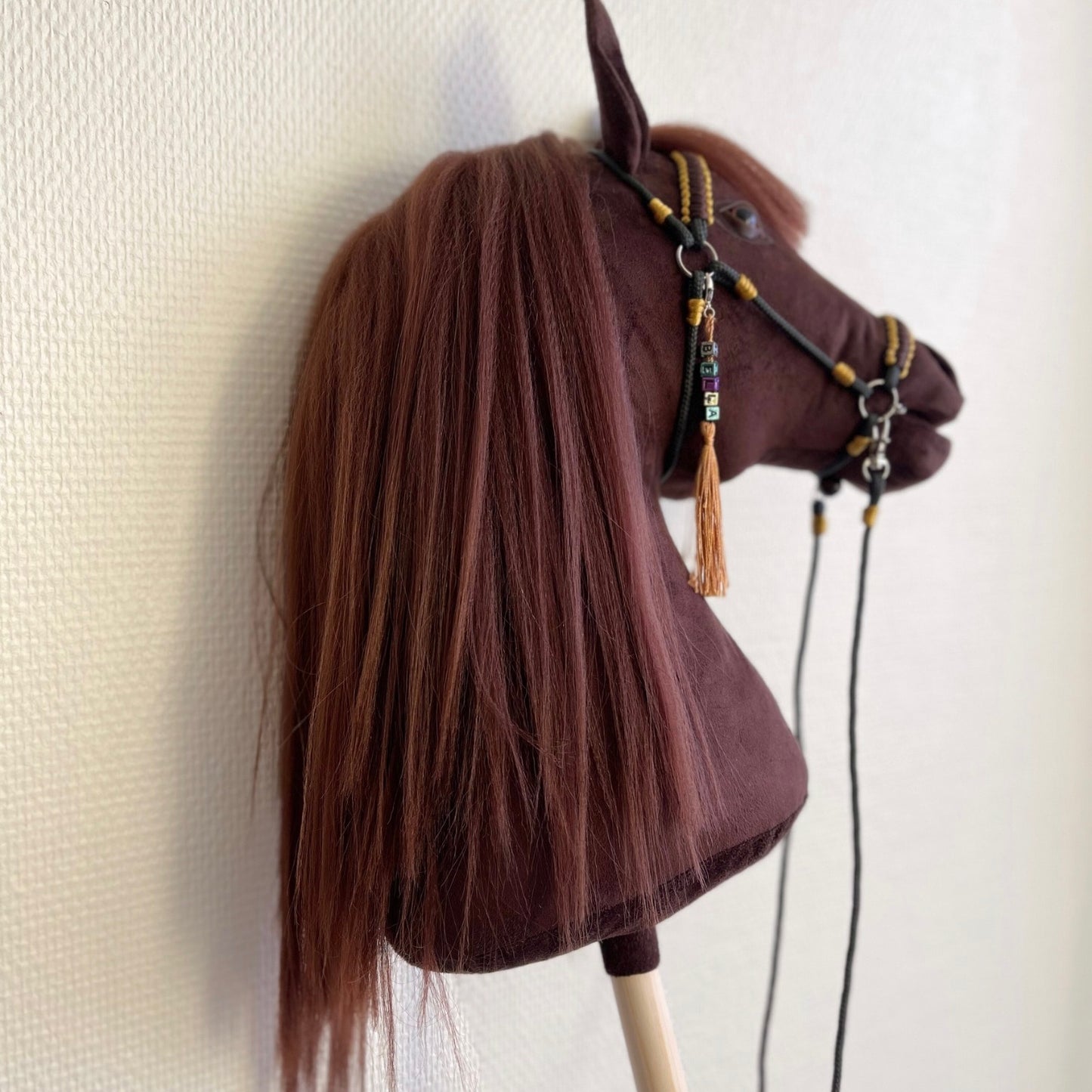 Dark brown hobby horse Bella with white blaze and golden reins, indoor profile photo